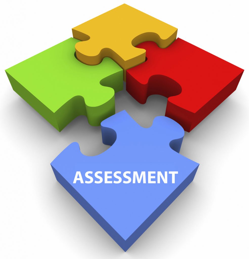 QQI Level 5 Child Health & Well Being Assessment 